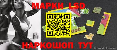 индика Ногинск