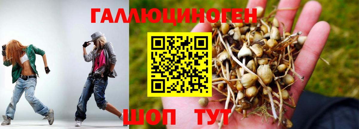 Ейск  Галлюциногенные грибы ЛСД  Вход с VPN 