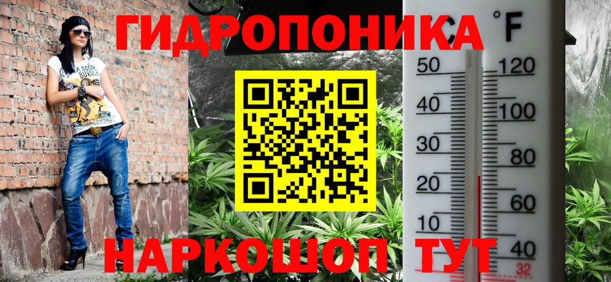 Ейск  Бошки марихуана тримм  Вход с VPN  Шишки марихуана сатива 